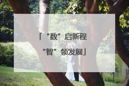 “数”启新程 “智”领发展