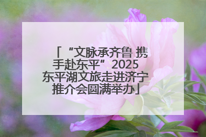 “文脉承齐鲁 携手赴东平”2025东平湖文旅走进济宁推介会圆满举办
