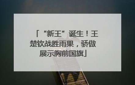 “新王”诞生！王楚钦战胜雨果，骄傲展示胸前国旗