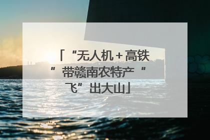 “无人机＋高铁”带赣南农特产“飞”出大山