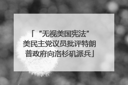 “无视美国宪法” 美民主党议员批评特朗普政府向洛杉矶派兵