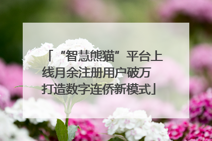 “智慧熊猫”平台上线月余注册用户破万 打造数字连侨新模式