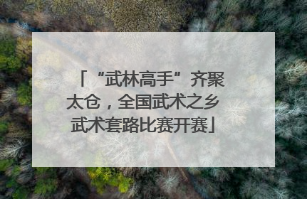 “武林高手”齐聚太仓，全国武术之乡武术套路比赛开赛