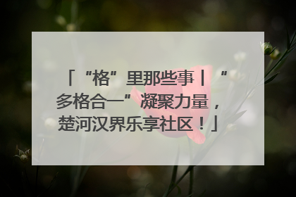 “格”里那些事丨“多格合一”凝聚力量，楚河汉界乐享社区！