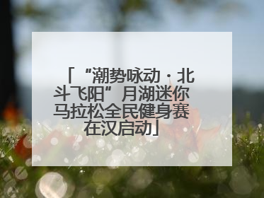 “潮势咏动・北斗飞阳”月湖迷你马拉松全民健身赛在汉启动