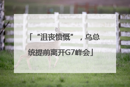 “沮丧愤慨”，乌总统提前离开G7峰会