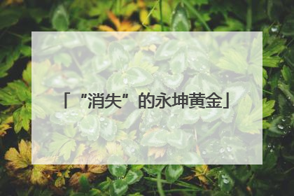 “消失”的永坤黄金