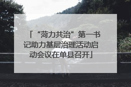 “菏力共治”第一书记助力基层治理活动启动会议在单县召开