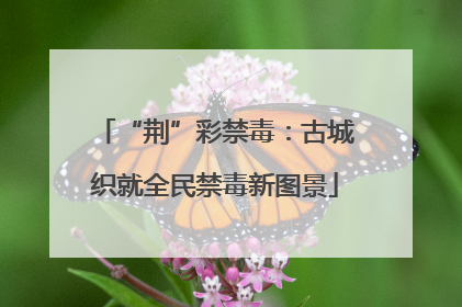 “荆”彩禁毒：古城织就全民禁毒新图景