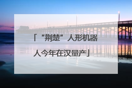 “荆楚”人形机器人今年在汉量产