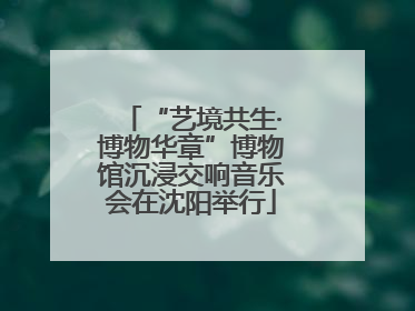 “艺境共生·博物华章”博物馆沉浸交响音乐会在沈阳举行