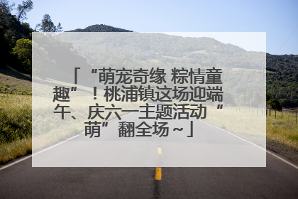 “萌宠奇缘 粽情童趣”！桃浦镇这场迎端午、庆六一主题活动“萌”翻全场～