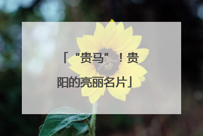 “贵马”！贵阳的亮丽名片