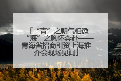 “青”之朝气相邀 “海”之胸怀奔赴——青海省招商引资上海推介会现场见闻