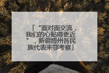 “面对面交流，我们的心贴得更近”，新疆博州各民族代表来鄂考察