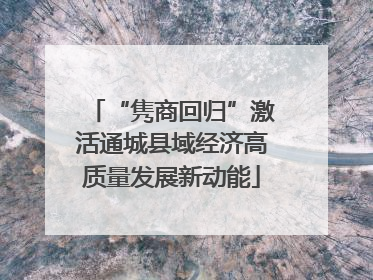 “隽商回归”激活通城县域经济高质量发展新动能
