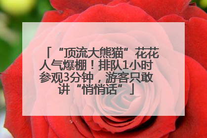 “顶流大熊猫”花花人气爆棚！排队1小时参观3分钟，游客只敢讲“悄悄话”