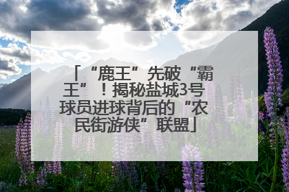 “鹿王”先破“霸王”！揭秘盐城3号球员进球背后的“农民街游侠”联盟