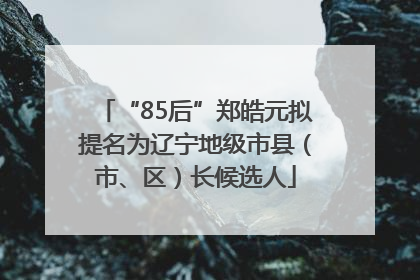 “85后”郑皓元拟提名为辽宁地级市县（市、区）长候选人