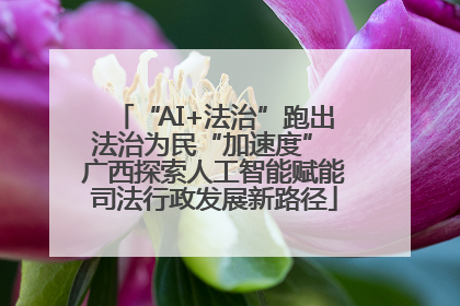 “AI+法治”跑出法治为民“加速度” 广西探索人工智能赋能司法行政发展新路径