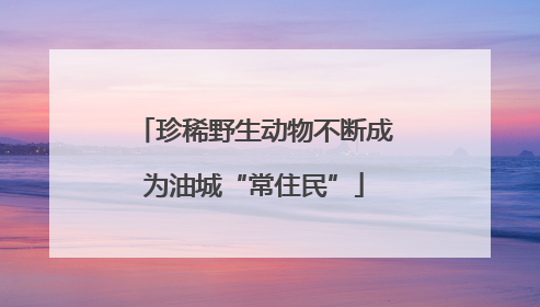 珍稀野生动物不断成为油城“常住民”