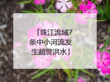 珠江流域7条中小河流发生超警洪水
