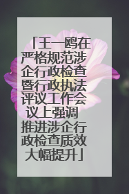 王一鸥在严格规范涉企行政检查暨行政执法评议工作会议上强调 推进涉企行政检查质效大幅提升