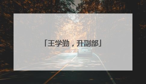 王学勤，升副部