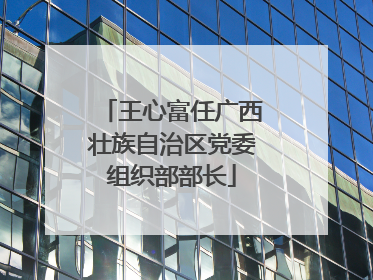 王心富任广西壮族自治区党委组织部部长