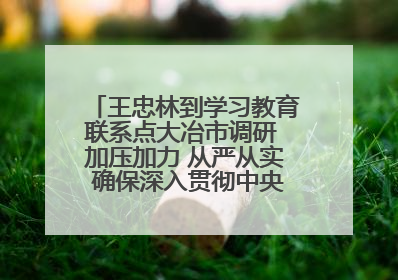 王忠林到学习教育联系点大冶市调研 加压加力 从严从实 确保深入贯彻中央八项规定精神学习教育取得实效