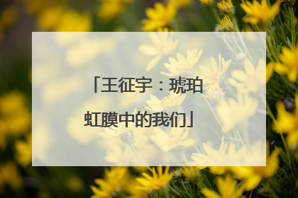 王征宇：琥珀虹膜中的我们