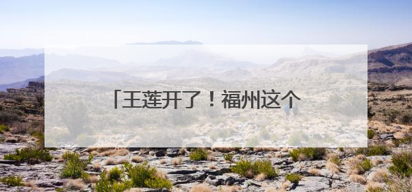 王莲开了！福州这个网红公园，上新了！