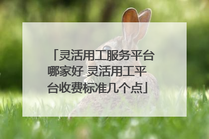 灵活用工服务平台哪家好 灵活用工平台收费标准几个点