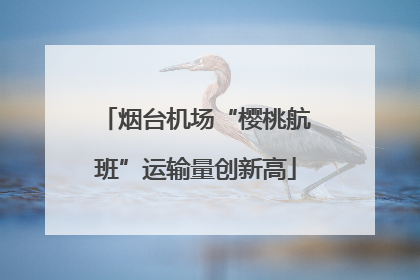 烟台机场“樱桃航班”运输量创新高