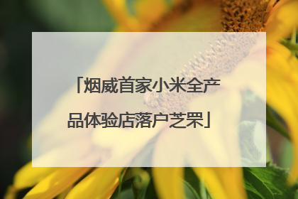 烟威首家小米全产品体验店落户芝罘