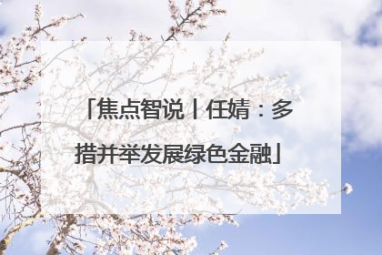 焦点智说丨任婧：多措并举发展绿色金融