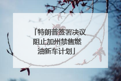 特朗普签署决议 阻止加州禁售燃油新车计划