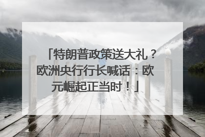 特朗普政策送大礼？欧洲央行行长喊话：欧元崛起正当时！