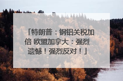 特朗普：钢铝关税加倍 欧盟加拿大：强烈遗憾！强烈反对！