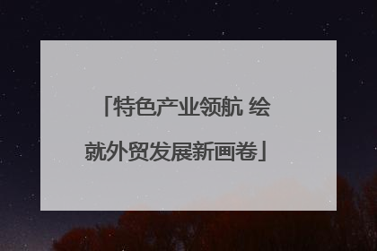特色产业领航 绘就外贸发展新画卷
