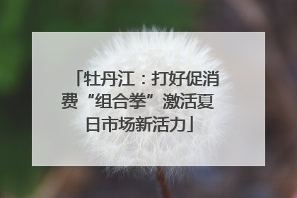 牡丹江：打好促消费“组合拳”激活夏日市场新活力