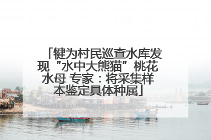 犍为村民巡查水库发现“水中大熊猫”桃花水母 专家：将采集样本鉴定具体种属