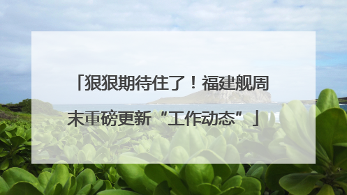 狠狠期待住了！福建舰周末重磅更新“工作动态”
