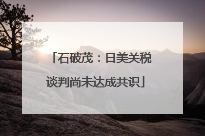 石破茂：日美关税谈判尚未达成共识