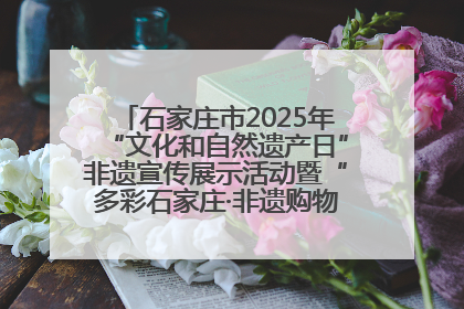 石家庄市2025年“文化和自然遗产日”非遗宣传展示活动暨“多彩石家庄·非遗购物节”倒计时1天