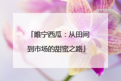 睢宁西瓜：从田间到市场的甜蜜之路