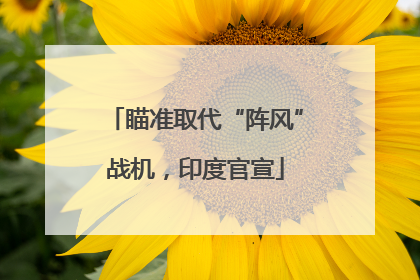 瞄准取代“阵风”战机，印度官宣