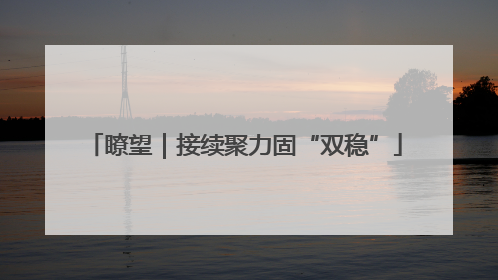 瞭望｜接续聚力固“双稳”