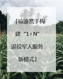 琼渝携手构建“1+N”退役军人服务新模式