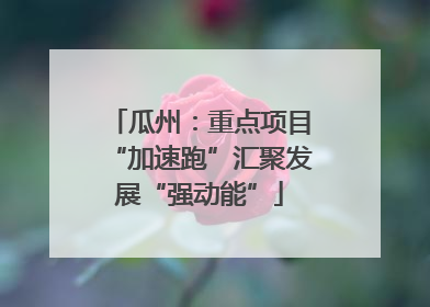 瓜州：重点项目“加速跑”汇聚发展“强动能”